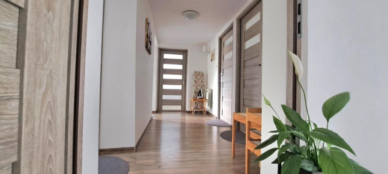 Pokoje I Apartamenty Na Szkolnej Zator Eksteriør bilde